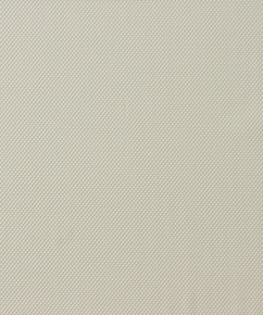 Фото BN International Shadows on the Walls 45581