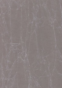 Фото Marburg Crush Gala 61889