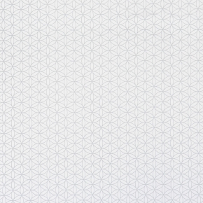 Фото BN International Nordic Light 47461