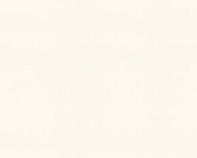 Фото A.S.Creation Maistervlies 2020 35064-2