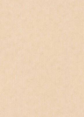 Фото Erismann BasiXs 6488-14