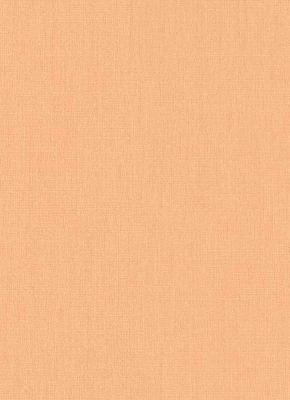 Фото Erismann Orient 5110-23