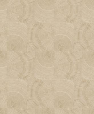 Фото Rasch Factory 2014 438833