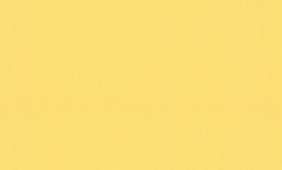 Фото A.S.Creation La Pasion 943298