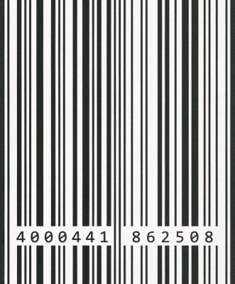 Фото Rasch HOME VISION 5 862508
