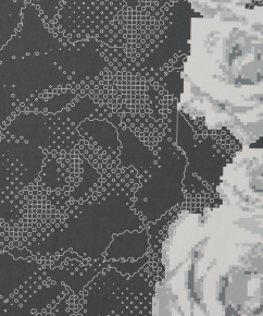 Фото BN International Shadows on the Walls 45640