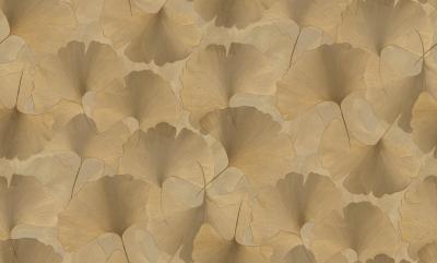 Фото Erismann Elyisum 12227-30