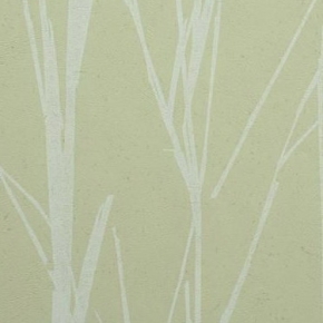 Фото BN International Authentique 45765