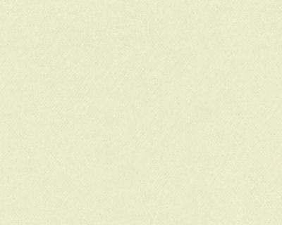 Фото A.S.Creation Meistervlies 3 300126