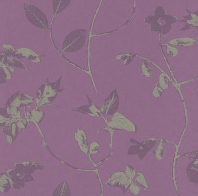 Фото Rasch Tendresse 799149