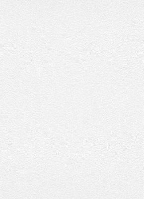 Erismann RollOver Deco 4056-01