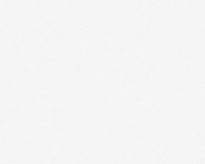 Фото A.S.Creation AP 2000 95313-1