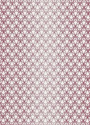 Фото Erismann Arcano 5259-06