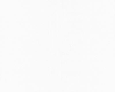 Фото A.S.Creation MV meets XXL 744616