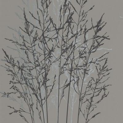 Erismann Senses 2013 5722-37