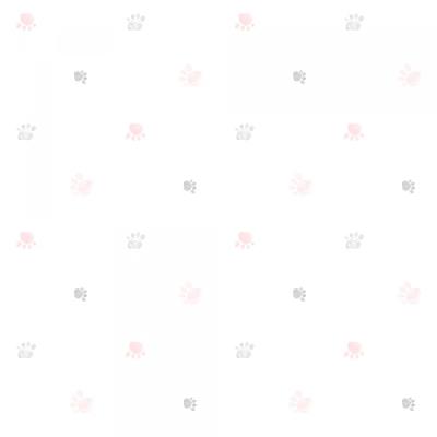 Фото ICH Lullaby 228-2