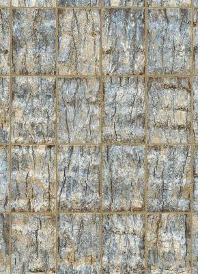 Фото Erismann Natural Silence 5282-08