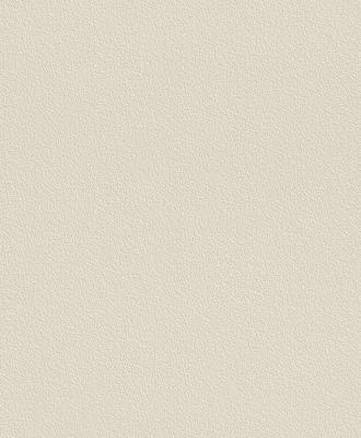 Фото Rasch Naturalia 475548