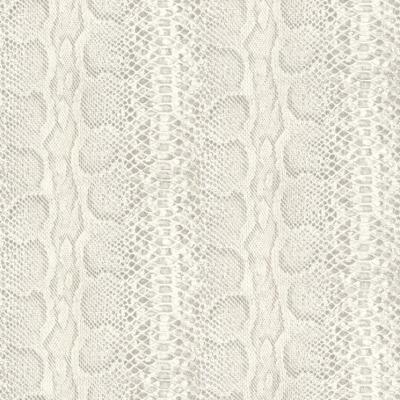 Фото Rasch African Queen 2014 423167