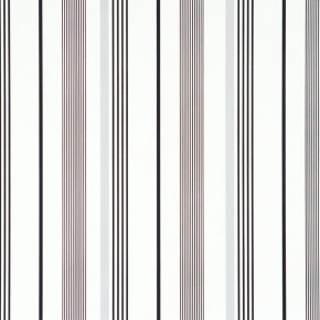 BN International Colourline 46234