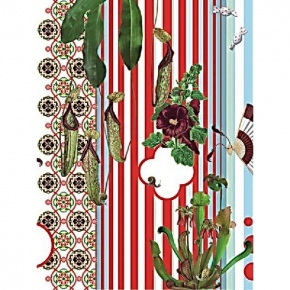 Фото Marburg Zeitlberger 45003