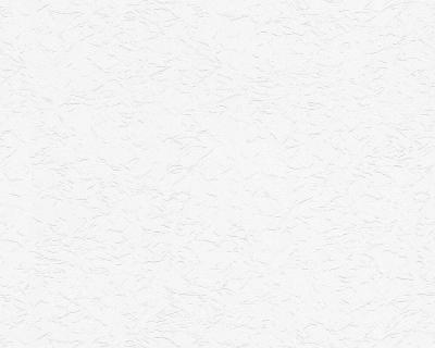 Фото A.S.Creation Maistervlies 2020 95371-1