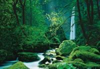 Komar 4-065 (Горный массив Шварцвальд)