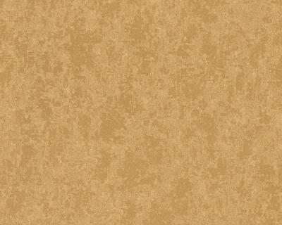 Фото A.S.Creation Versace 3 34903-2