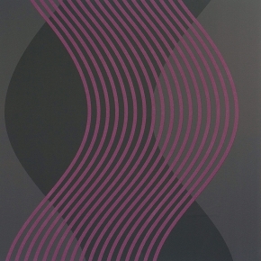 Фото BN International Motion 46623