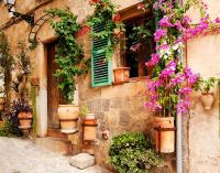 Цветы в горшках у входа в дом