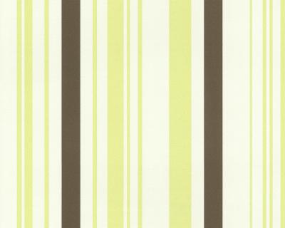 Фото A.S.Creation Meistervlies 3 300249