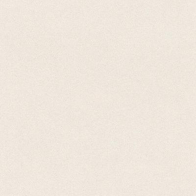 Фото Rasch Crispy Paper 527001