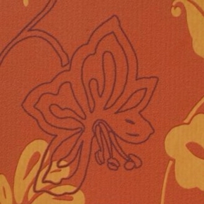 Фото BN International Flair 42701