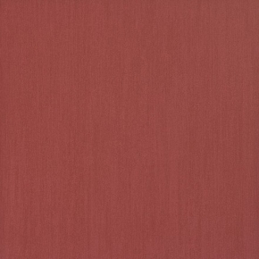 Фото BN International Camarque 48504