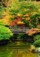 Мостик над озером