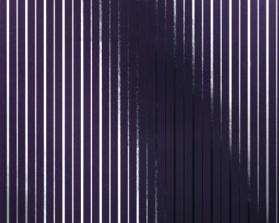 Фото A.S.Creation Chroma 132673