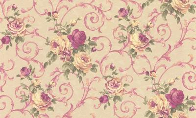 Фото Rasch Maximum XI 926118