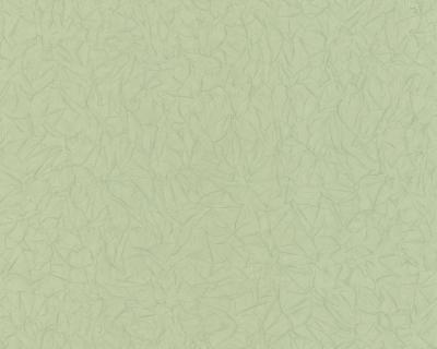 Фото A.S.Creation Veneto 2013 8732-17