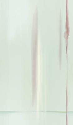 Фото Rasch Trendspots Vol. 2 897012