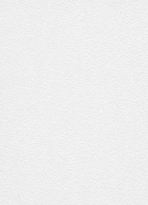 Фото Erismann RollOver 5395-10 (5395-01)