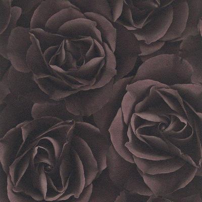 Фото Rasch Crispy Paper 525618