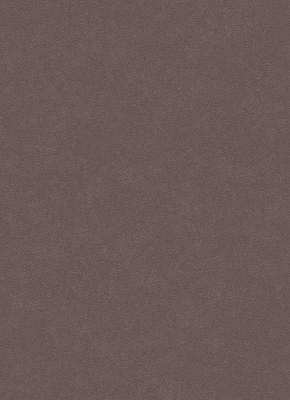 Фото Erismann City Glam 5958-37