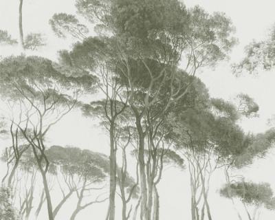 Фото A.S.Creation History of Art 37651-2