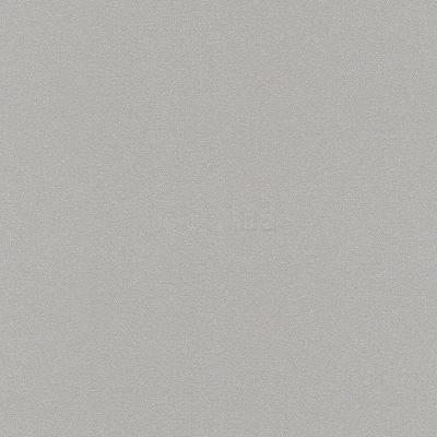 Фото Rasch Sparkling 898255