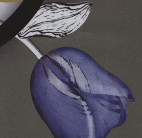 Фото Marburg Ulf Moritz Charisma 78777