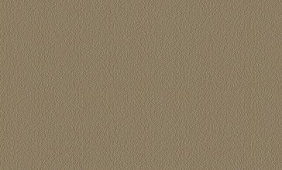 Фото A.S.Creation Speranza 956151