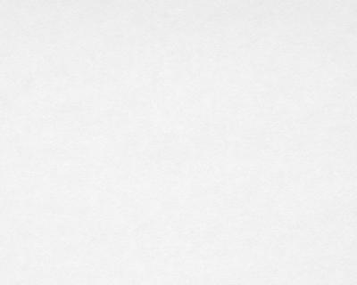 Фото A.S.Creation Meistervlies 4 1440-10