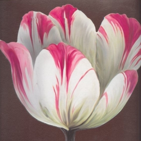 Фото Marburg Ulf Moritz Scala 74855