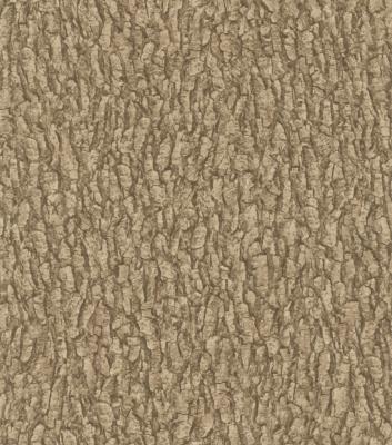 Фото Rasch Black Forest 2016 514223