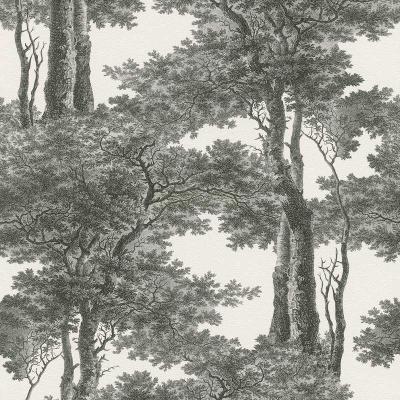 Фото Rasch Passepartout 605419